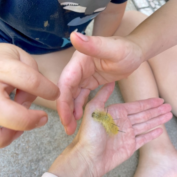 About Me - Picture 1 of 1